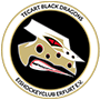 TecArt BlackDragons